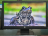 HP LCD MONITOR 18.5